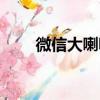 微信大喇叭（关于微信大喇叭介绍）