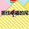 扼住幸福的尾巴（关于扼住幸福的尾巴简介）