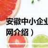 安徽中小企业贷款网（关于安徽中小企业贷款网介绍）