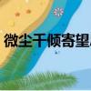 微尘千倾寄望思（关于微尘千倾寄望思介绍）