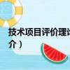 技术项目评价理论与方法（关于技术项目评价理论与方法简介）