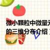 微小颗粒中微量元素的三维分布（关于微小颗粒中微量元素的三维分布介绍）