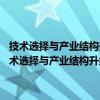 技术选择与产业结构升级——基于海峡西岸经济区的实证研究（关于技术选择与产业结构升级——基于海峡西岸经济区的实证研究简介）