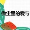 微尘里的爱与憎（关于微尘里的爱与憎介绍）