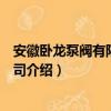 安徽卧龙泵阀有限责任公司（关于安徽卧龙泵阀有限责任公司介绍）