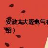 安徽大大隆电气有限公司（关于安徽大大隆电气有限公司介绍）
