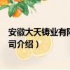 安徽大天铸业有限责任公司（关于安徽大天铸业有限责任公司介绍）