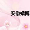 安徽婚博会（关于安徽婚博会介绍）