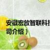 安徽宏放智联科技有限公司（关于安徽宏放智联科技有限公司介绍）