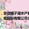 安徽嬉子湖水产养殖股份有限公司（关于安徽嬉子湖水产养殖股份有限公司介绍）