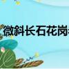 微斜长石花岗岩（关于微斜长石花岗岩介绍）