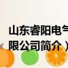 山东睿阳电气有限公司（关于山东睿阳电气有限公司简介）