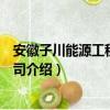 安徽子川能源工程有限公司（关于安徽子川能源工程有限公司介绍）