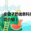 安徽孑然信息科技有限公司（关于安徽孑然信息科技有限公司介绍）