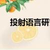投射语言研究（关于投射语言研究简介）
