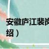 安徽庐江裴岗中学（关于安徽庐江裴岗中学介绍）