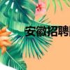 安徽招聘网（关于安徽招聘网介绍）