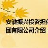 安徽振兴投资担保集团有限公司（关于安徽振兴投资担保集团有限公司介绍）