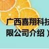 广西喜翔科技有限公司（关于广西喜翔科技有限公司介绍）