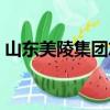 山东美陵集团志（关于山东美陵集团志简介）