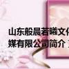 山东般晨若曦文化传媒有限公司（关于山东般晨若曦文化传媒有限公司简介）