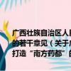 广西壮族自治区人民政府办公厅关于支持玉林市加快打造“南方药都”的若干意见（关于广西壮族自治区人民政府办公厅关于支持玉林市加快打造“南方药都”的若干意见介绍）