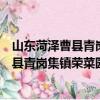 山东菏泽曹县青岗集镇荣菜园志愿服务队（关于山东菏泽曹县青岗集镇荣菜园志愿服务队简介）