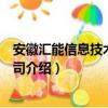 安徽汇能信息技术有限公司（关于安徽汇能信息技术有限公司介绍）