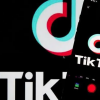 TikTok推出三叶草计划