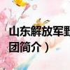 山东解放军野战兵团（关于山东解放军野战兵团简介）