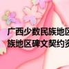 广西少数民族地区碑文契约资料集 修订本（关于广西少数民族地区碑文契约资料集 修订本介绍）