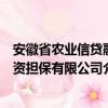 安徽省农业信贷融资担保有限公司（关于安徽省农业信贷融资担保有限公司介绍）