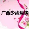 广西少齿悬钩子（关于广西少齿悬钩子介绍）