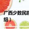 广西少数民族妇女（关于广西少数民族妇女介绍）