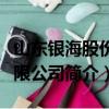 山东银海股份有限公司（关于山东银海股份有限公司简介）
