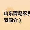山东青岛农民电影节（关于山东青岛农民电影节简介）