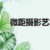 微距摄影艺术（关于微距摄影艺术介绍）