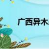 广西异木患（关于广西异木患介绍）