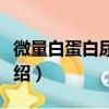 微量白蛋白尿检查（关于微量白蛋白尿检查介绍）