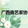广西曲艺家协会（关于广西曲艺家协会介绍）