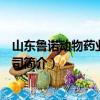 山东鲁诺动物药业有限公司（关于山东鲁诺动物药业有限公司简介）