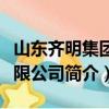 山东齐明集团有限公司（关于山东齐明集团有限公司简介）