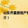 山东齐星房地产有限公司（关于山东齐星房地产有限公司简介）