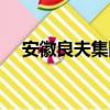 安徽良夫集团（关于安徽良夫集团介绍）