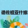 德佐祖亚什维利（关于德佐祖亚什维利介绍）