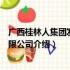 广西桂林人集团发展有限公司（关于广西桂林人集团发展有限公司介绍）