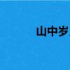 山中岁月（关于山中岁月简介）