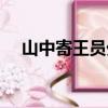 山中寄王员外（关于山中寄王员外简介）