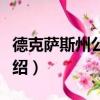 德克萨斯州公开赛（关于德克萨斯州公开赛介绍）