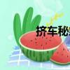 挤车秘籍（关于挤车秘籍简介）